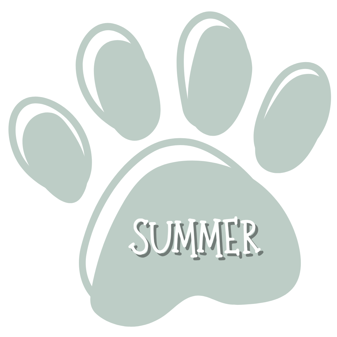 Summer