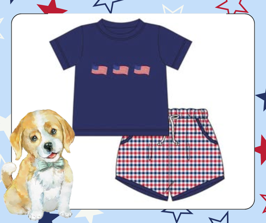 Boys Embroidered Flag Short Set