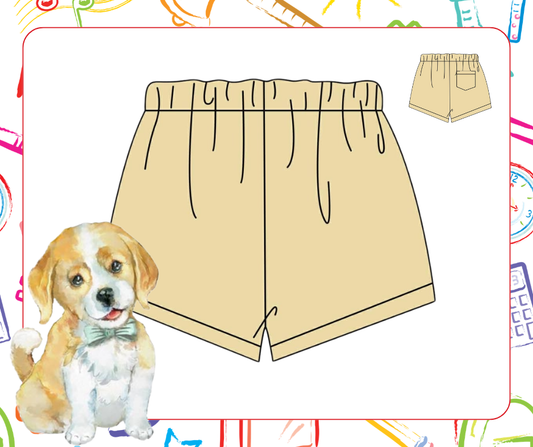 Boys Khaki Shorts